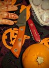 PXL_20221023_062957843.jpg