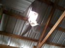 roof 001.jpg