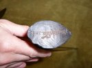 WWIEInscription.jpg
