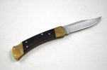 Buck2-2.jpg