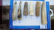 new ivory 009.jpg