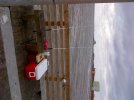 Galveston-20121230-00022.jpg