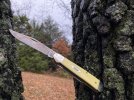 Yellow26.JPG
