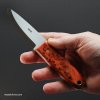 EDC 4 800.jpg EDC 4 800.jpg