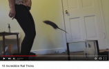 1-22-4-07-15-incredible-rat-tricks-smooby-2570086.png