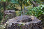 DSC00999-vi.jpg