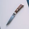 GEC bird and trout.jpg