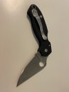 para2 2.jpg