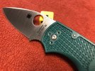 native rex 45.jpg