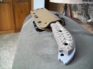 Busse 004.jpg
