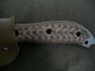 Busse 002.jpg