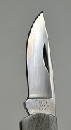 Buck3-3.jpg