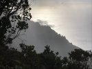 IMG_1950.jpeg