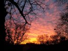20221104_181049.jpg