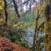 20221101_165001_copy_907x907.jpg
