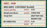 H20-GEC.jpg