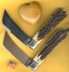 2 Pruners 2.jpg