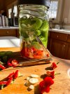 hot sauce fruit knife-2.jpg
