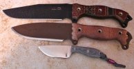 Busse INFI.jpg