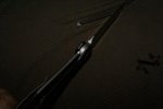 DSC05795.jpg