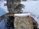 112135160mapleright.jpg