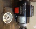 Coote grinder motor and wheel.jpg Coote grinder motor and wheel.jpg