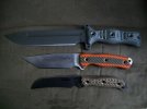 Busse 002.jpg