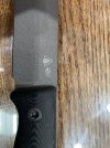 IMG_7542.jpeg