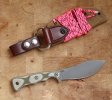 ebay_822.jpg ebay_822.jpg