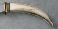 103.Hippo.Tooth.111421 03.JPG