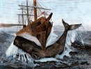 EssexWhalingShip.jpg