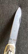 IMG_4324.jpeg