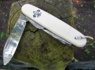 white.imp.BSA.mark.Vflat.jpg