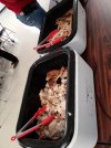 IMG_20221124_132029.jpg