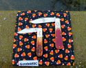 2022-11-24 Thanksgiving Carry Case GEC86 (1).JPG