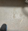 2AEAD509-C0E9-49DF-ABEB-4A33534C0976.jpeg