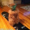 201207130731536066.jpg