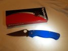 Blue PM2.jpg