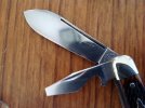 tueknife 041.jpg