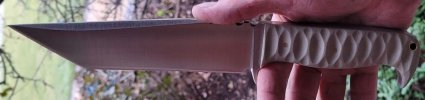 20221129_132937.jpg 20221129_132937.jpg