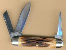cattleman QC stag b.jpg