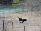 PennyRiver.jpg