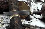 2-jungle-killer-010.jpg