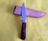 Picture_0890.jpg