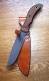 blackandtansheath 002small.jpg