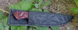2006-04-30-in-sheath.jpg