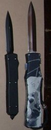 Dalton Stinger 600.JPG