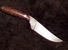 Sharpfinger.jpg