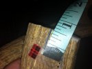 5 - cut 2.jpg