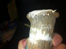 10 - crown scuff 2.jpg
